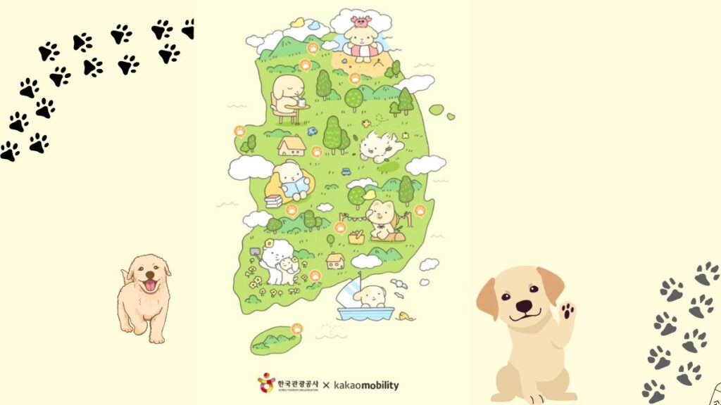 Dog-Friendly Travel Destinations korea