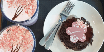 cherry blossoms korea