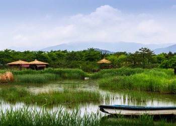 things to do in luncheon