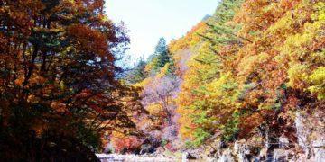Seoraksan National Park autumn