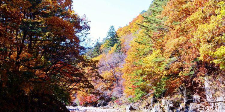 Seoraksan National Park autumn