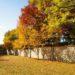 fall in seoul