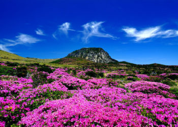 mount Hallasan jeju must have things