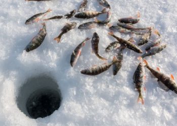 Hwacheon Sancheoneo Ice Festival