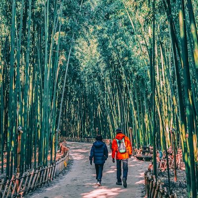 Taehwagang National Garden must-visit spots Gyeongsang