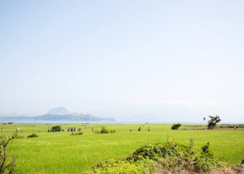 Jeju Olle Trails