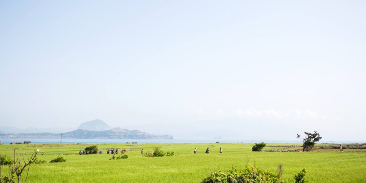 Jeju Olle Trails