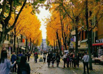 things to do insadong