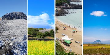 best time to visit jeju