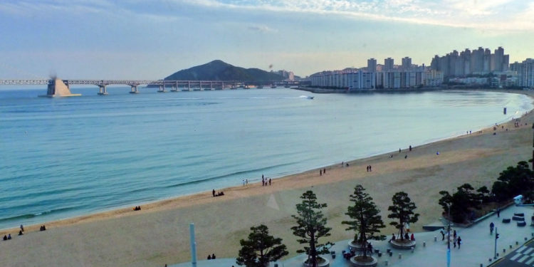 busan things to do