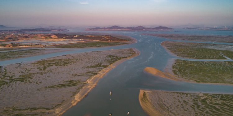 korean tidal flats