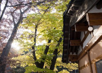 Fall Gyeongnam destinations