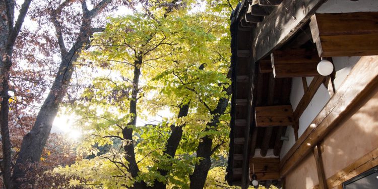 Fall Gyeongnam destinations