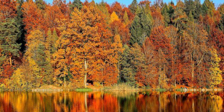 fall foliage south korea