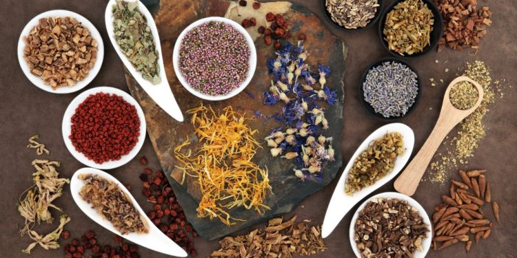 daegu herbal medicine market