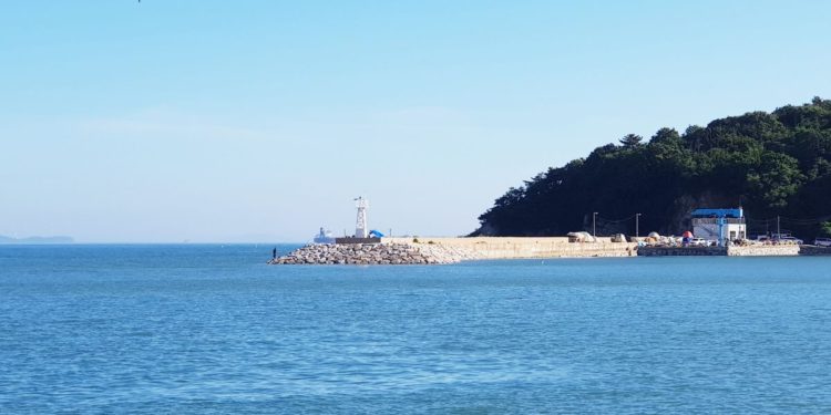 yeongjong island things to do