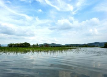 South Korea wetlands