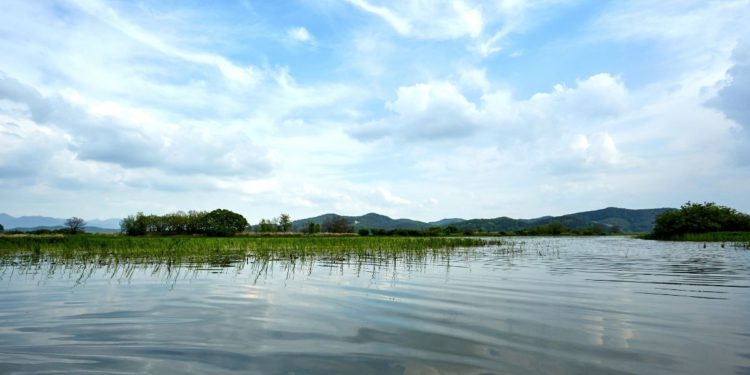 South Korea wetlands
