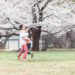spring date spots seoul