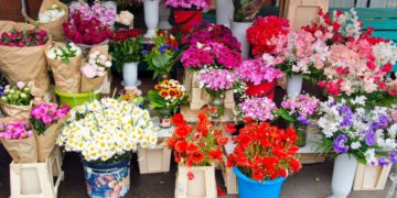 flower markets seoul