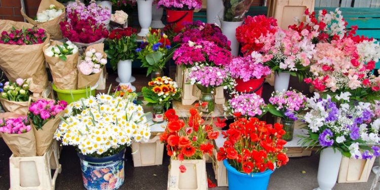 flower markets seoul