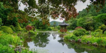 garden of morning calm