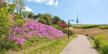walking in seoul spring