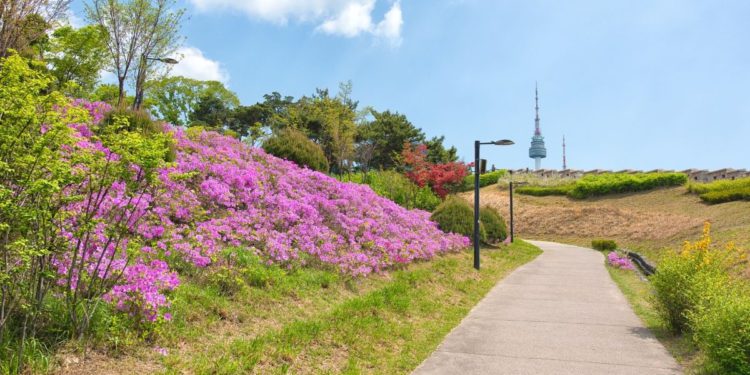 walking in seoul spring