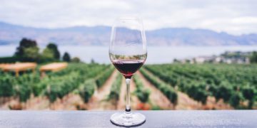 Yeongwol Yemil Wine Village