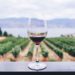 Yeongwol Yemil Wine Village