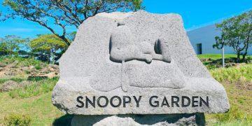snoopy garden jeju