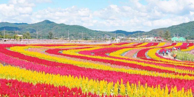 Cheorwon – Scenic Sights to Check Out