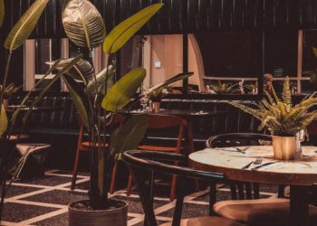 restaurants gangwon-do