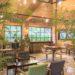Cafe Coi