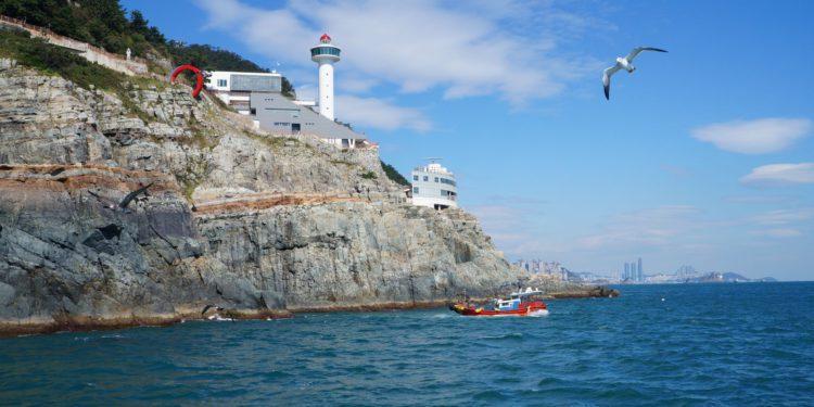 springtime activities busan