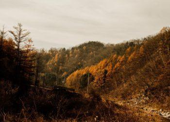 unesco natural heritage korea