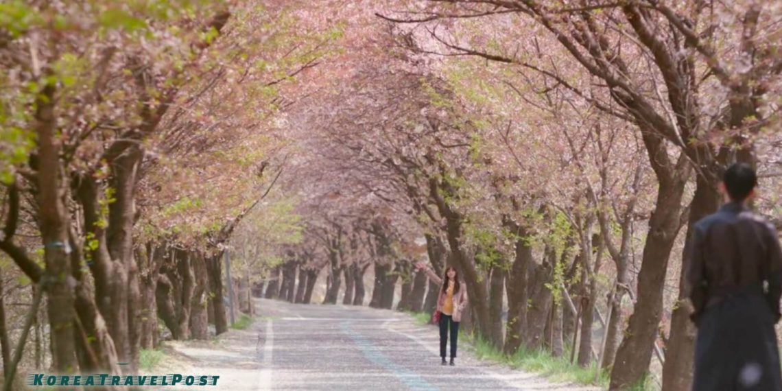 5 Filming Locations of Korean Drama 