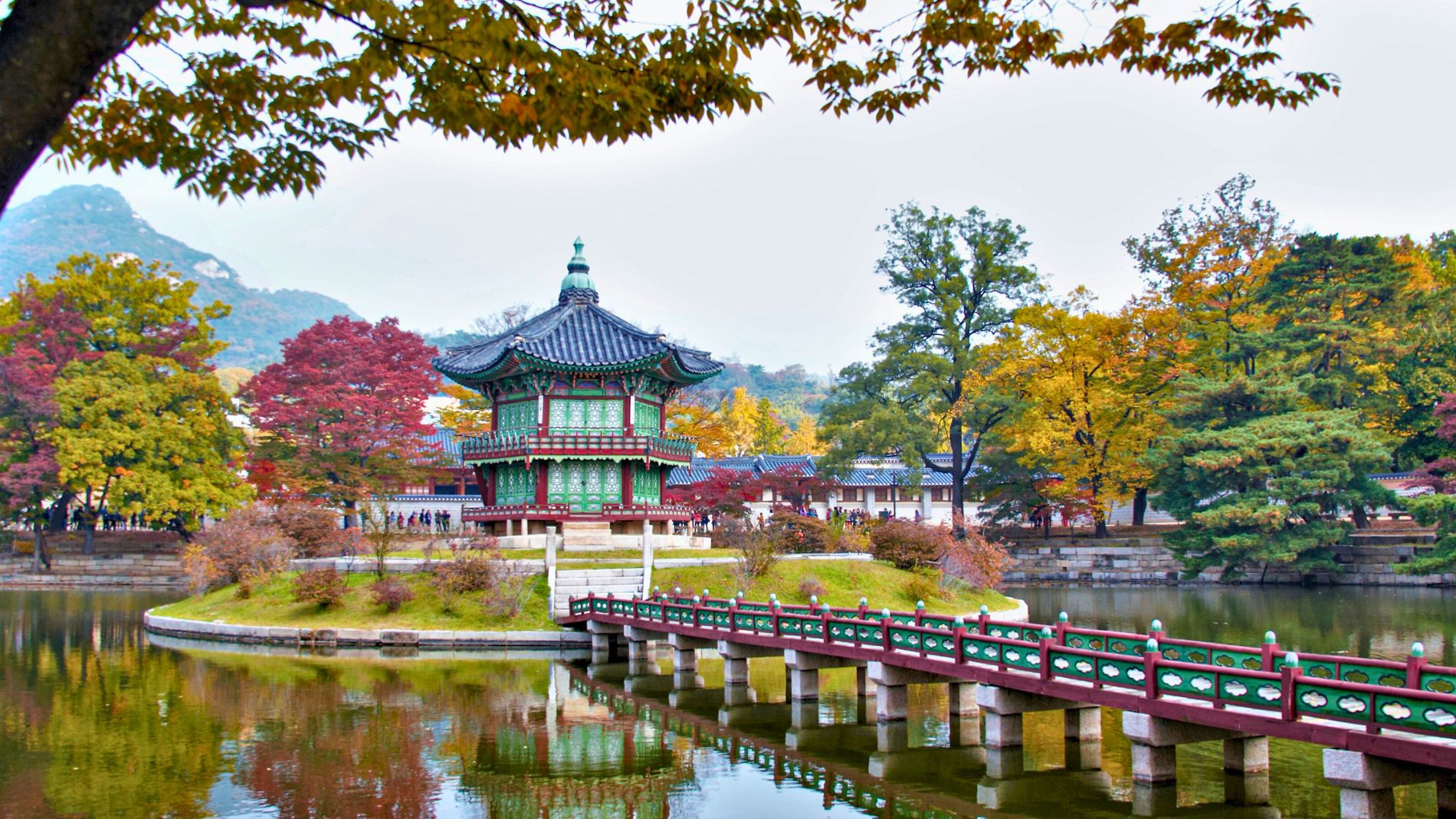 4 Reasons Why Autumn is the Perfect Time to Visit South Korea | KTP