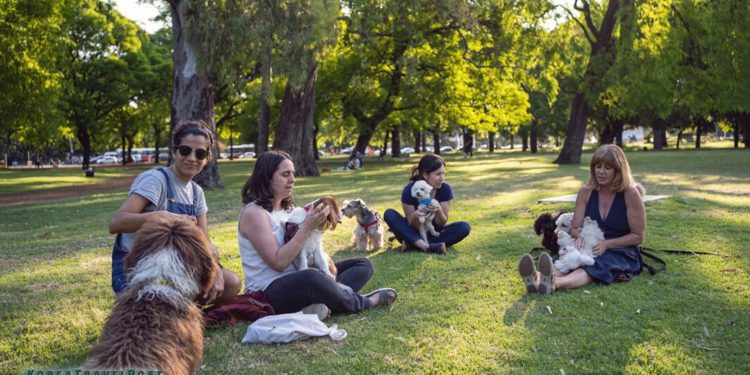 Traveling with Your Pet in Incheon – A Worry-Free Experience with the Smart Pet Waste Management System