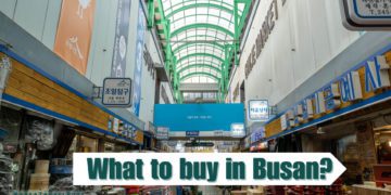what to buy in busan when visit south korea