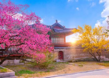 spring destinations korea