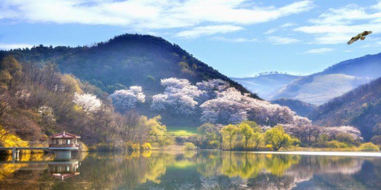 Detox Destinations South Korea