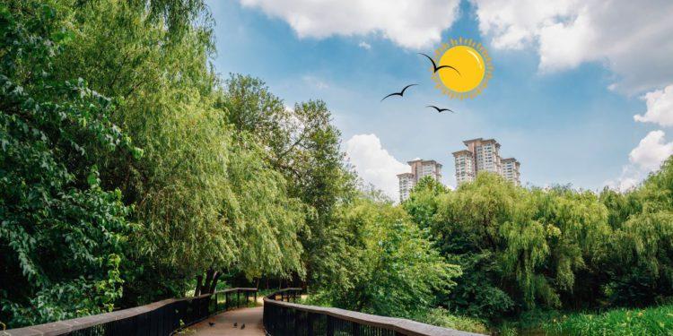 parks in korea summer