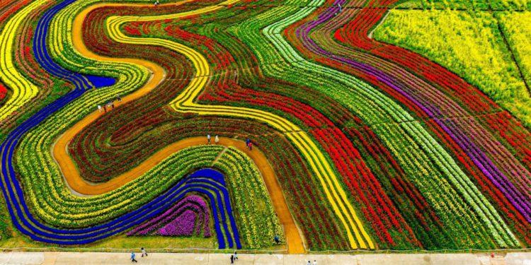 Suncheonman Bay National Garden