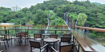 Nature in the Bustling City: Visit Waterfall Cafe Seoul for the Ultimate Cafe-Hopping Experience!  