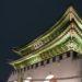 Ultimate Guide for Autumn Night Tours at Gyeongbokgung Palace 2024
