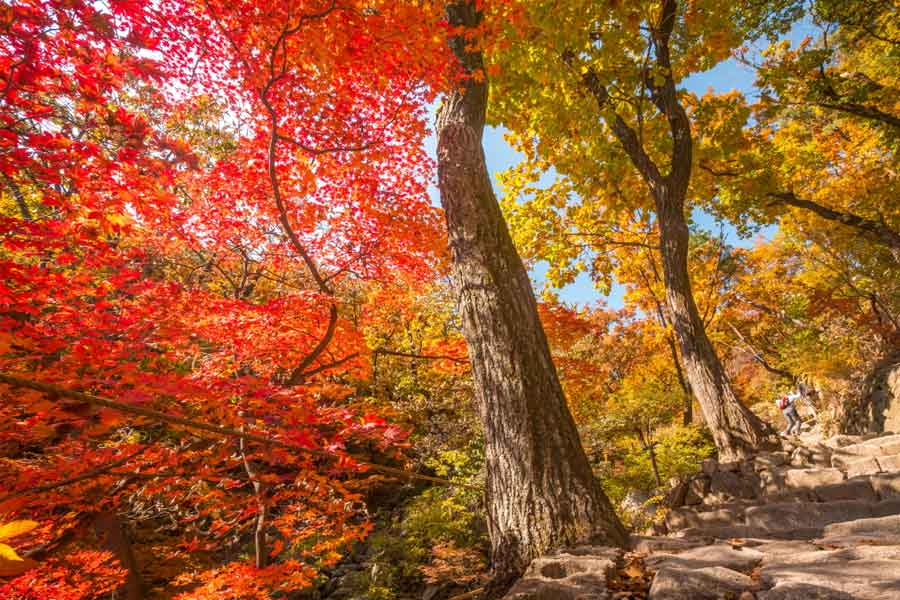 Bukhansan National Park