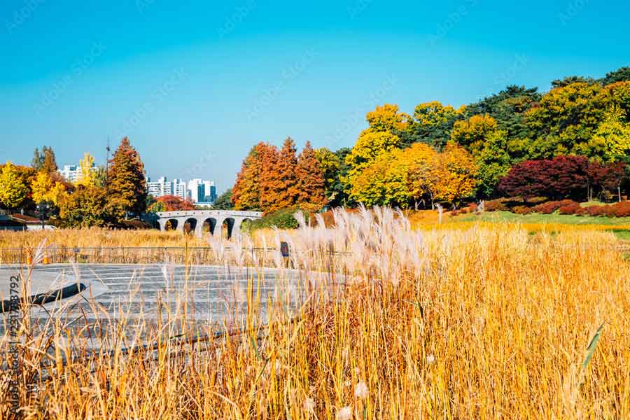 seoul running routes trails for fall foliage run 2024