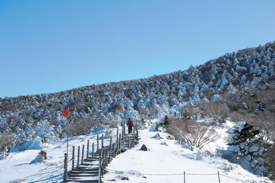 travel Hallasan mountain in December jeju