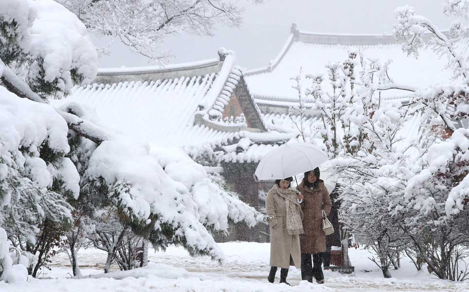 nevigating heavy snow snowfall in seoul november 2024